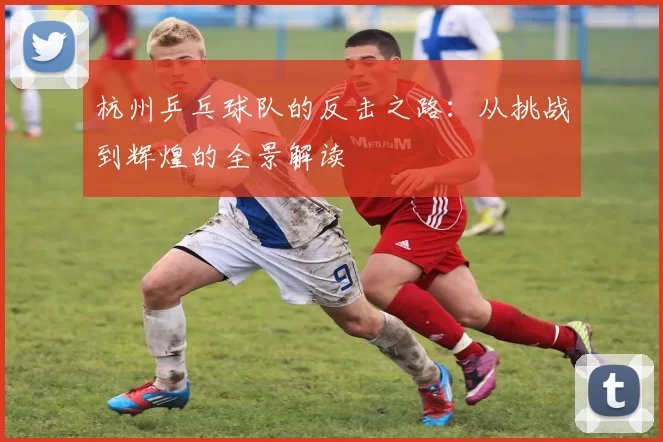 杭州乒乓球队的反击之路：从挑战到辉煌的全景解读