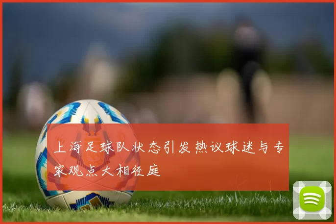 上海足球队状态引发热议球迷与专家观点大相径庭