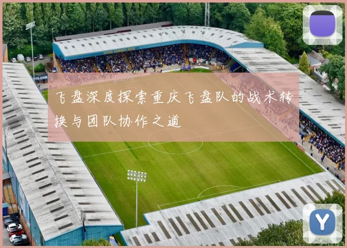 飞盘深度探索重庆飞盘队的战术转换与团队协作之道