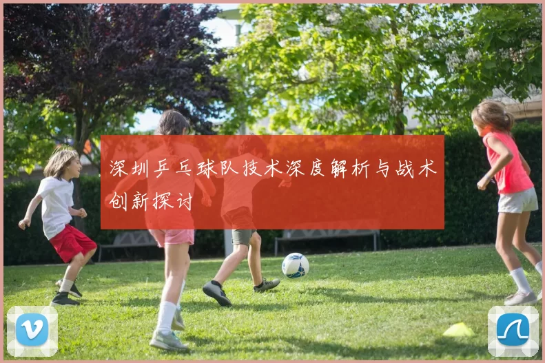 深圳乒乓球队技术深度解析与战术创新探讨