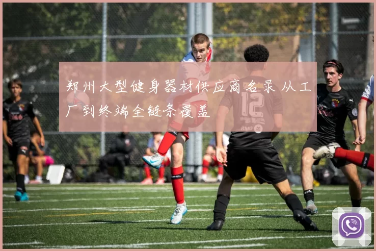 郑州大型健身器材供应商名录 从工厂到终端全链条覆盖