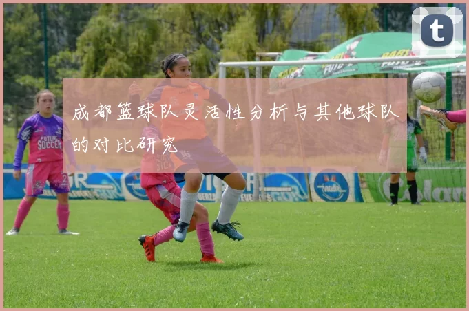 成都篮球队灵活性分析与其他球队的对比研究