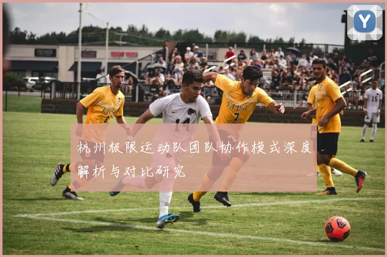 杭州极限运动队团队协作模式深度解析与对比研究