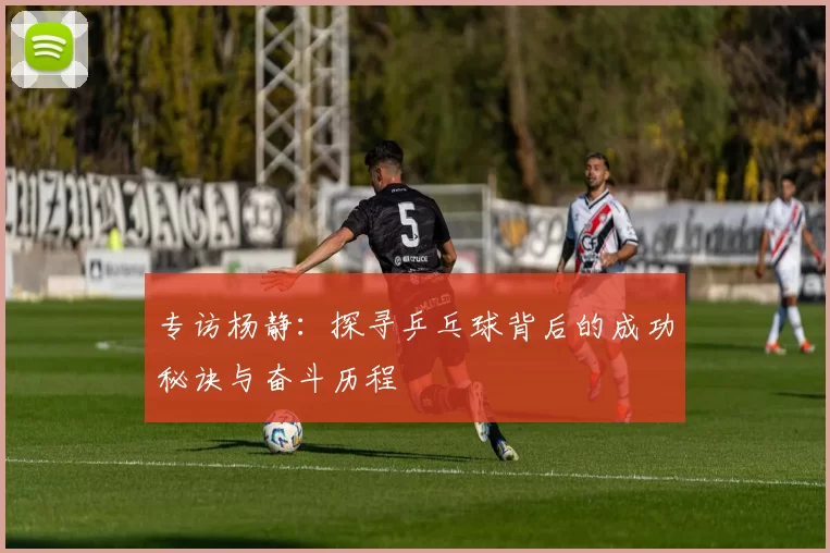 专访杨静：探寻乒乓球背后的成功秘诀与奋斗历程
