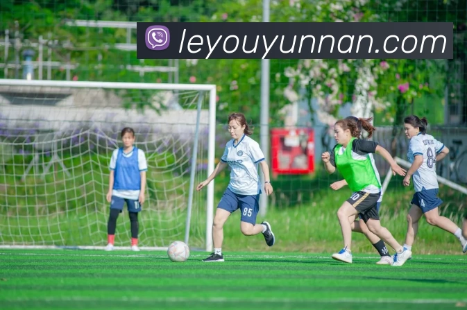 App 展示图