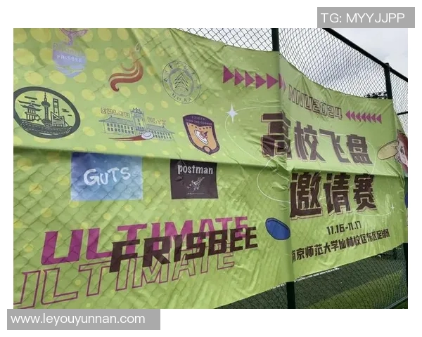 飞盘逆袭：深圳飞盘队的奋斗与成长全记录