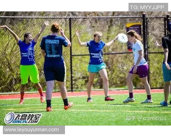 杭州飞盘队反击战术解析与实战应用探讨